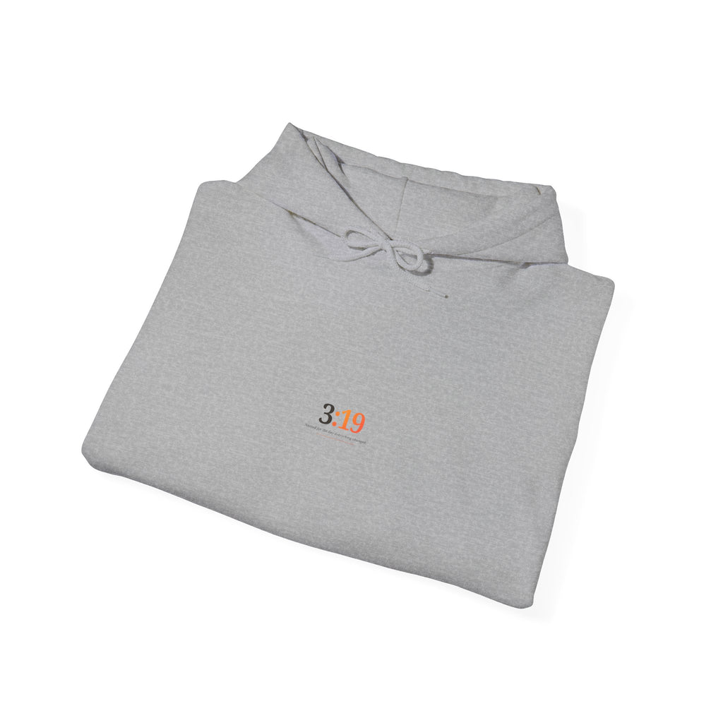 Minimal '3:19' White Hoodie — Simple Scripture Date Sweatshirt