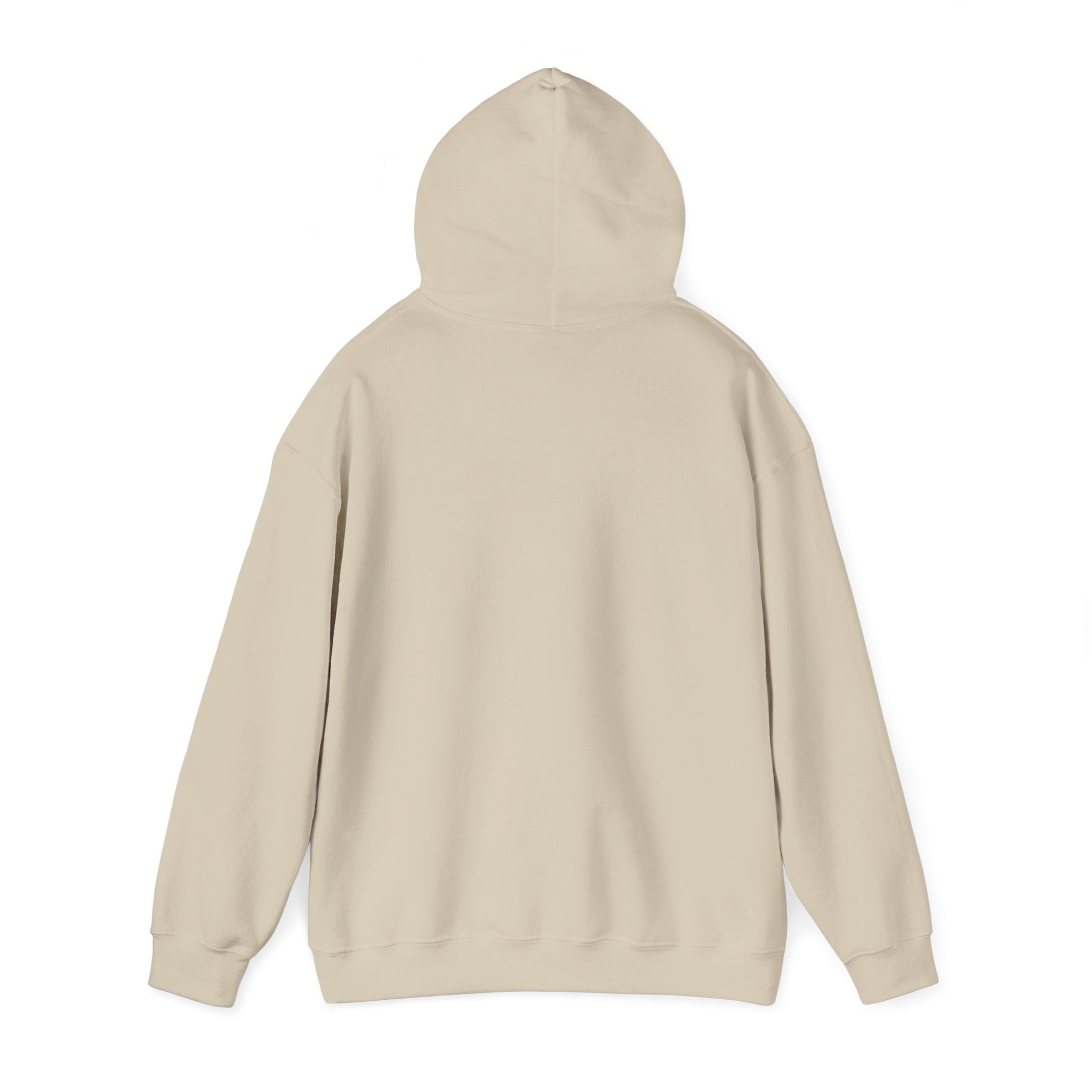 Minimal '3:19' White Hoodie — Simple Scripture Date Sweatshirt