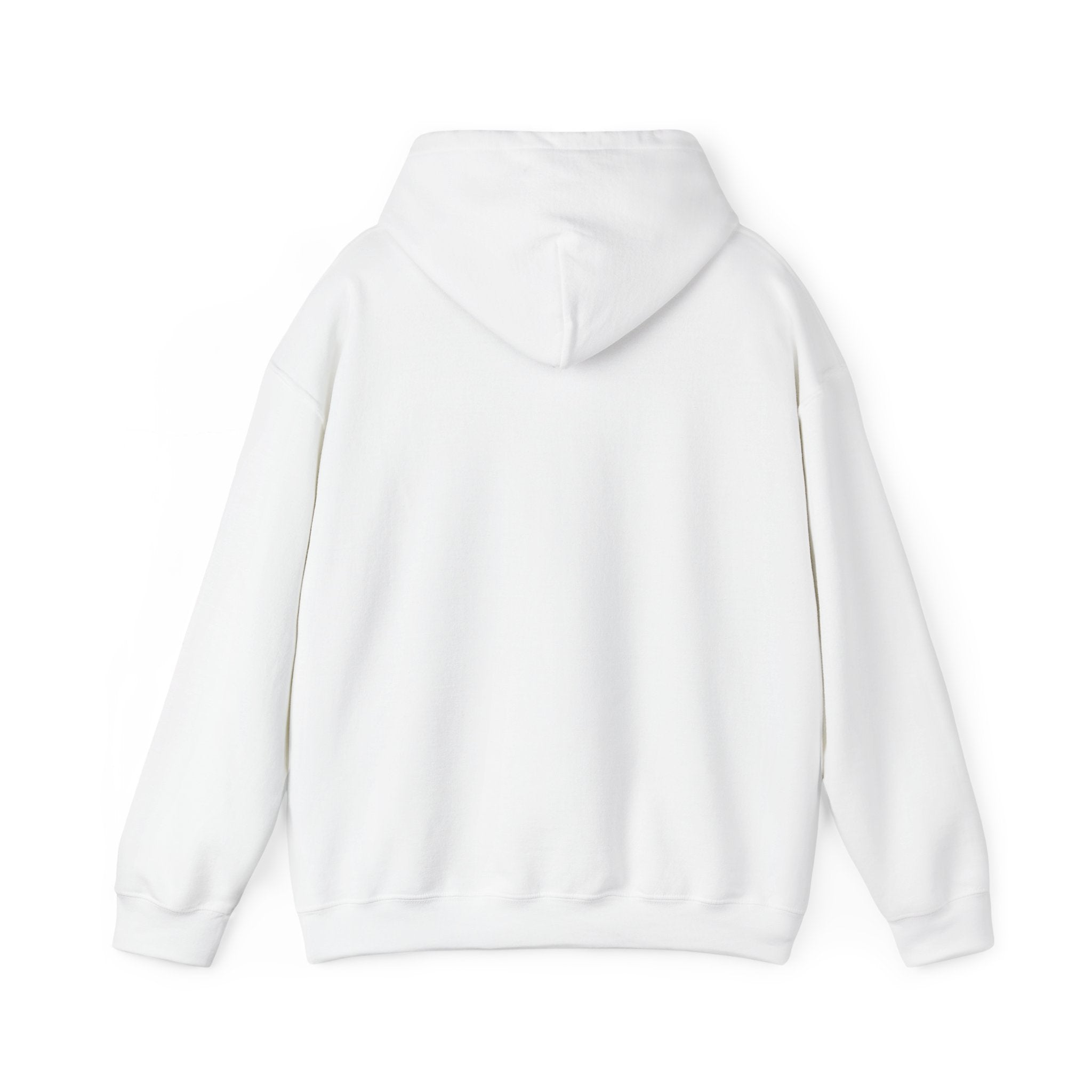 Minimal '3:19' White Hoodie — Simple Scripture Date Sweatshirt