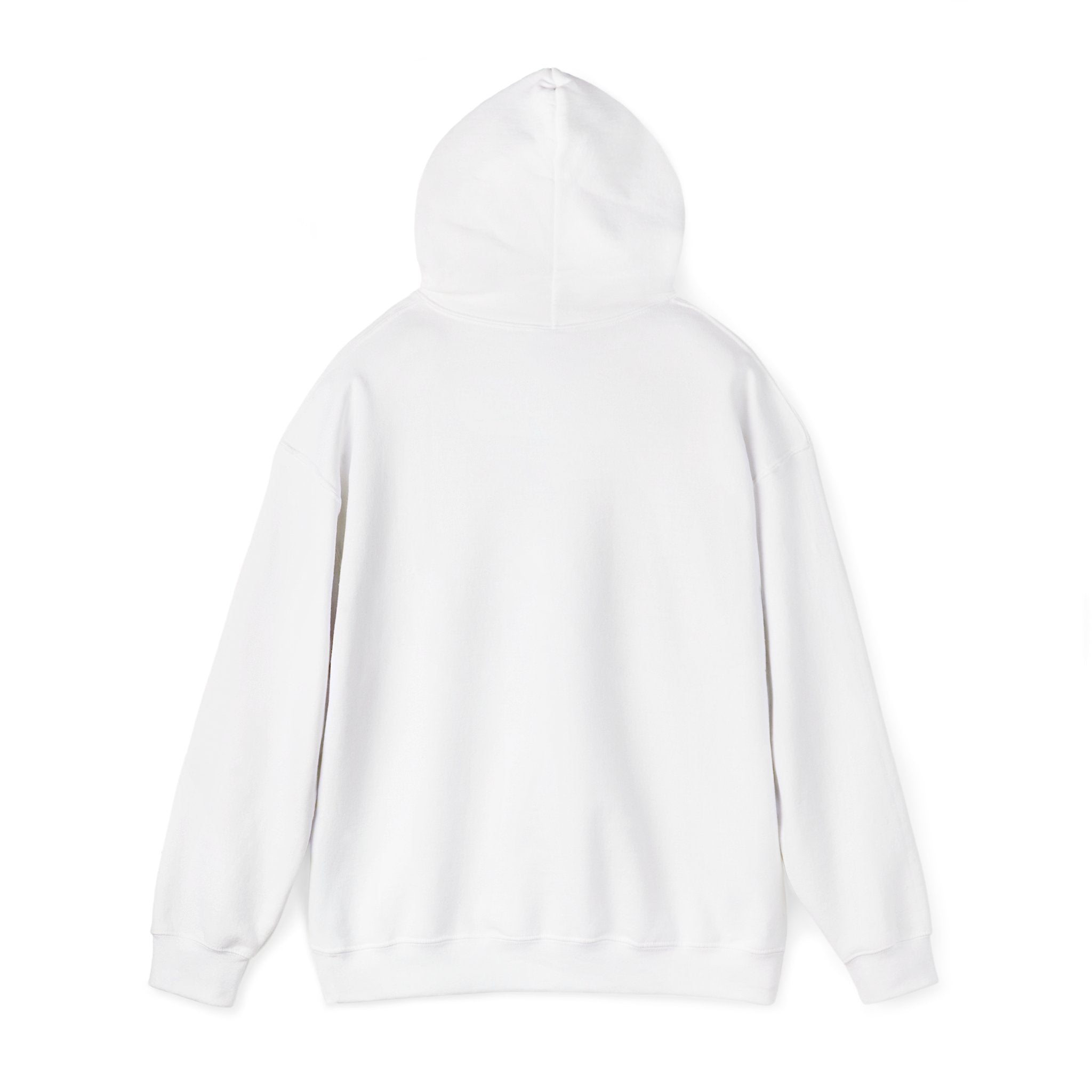 Minimal '3:19' White Hoodie — Simple Scripture Date Sweatshirt