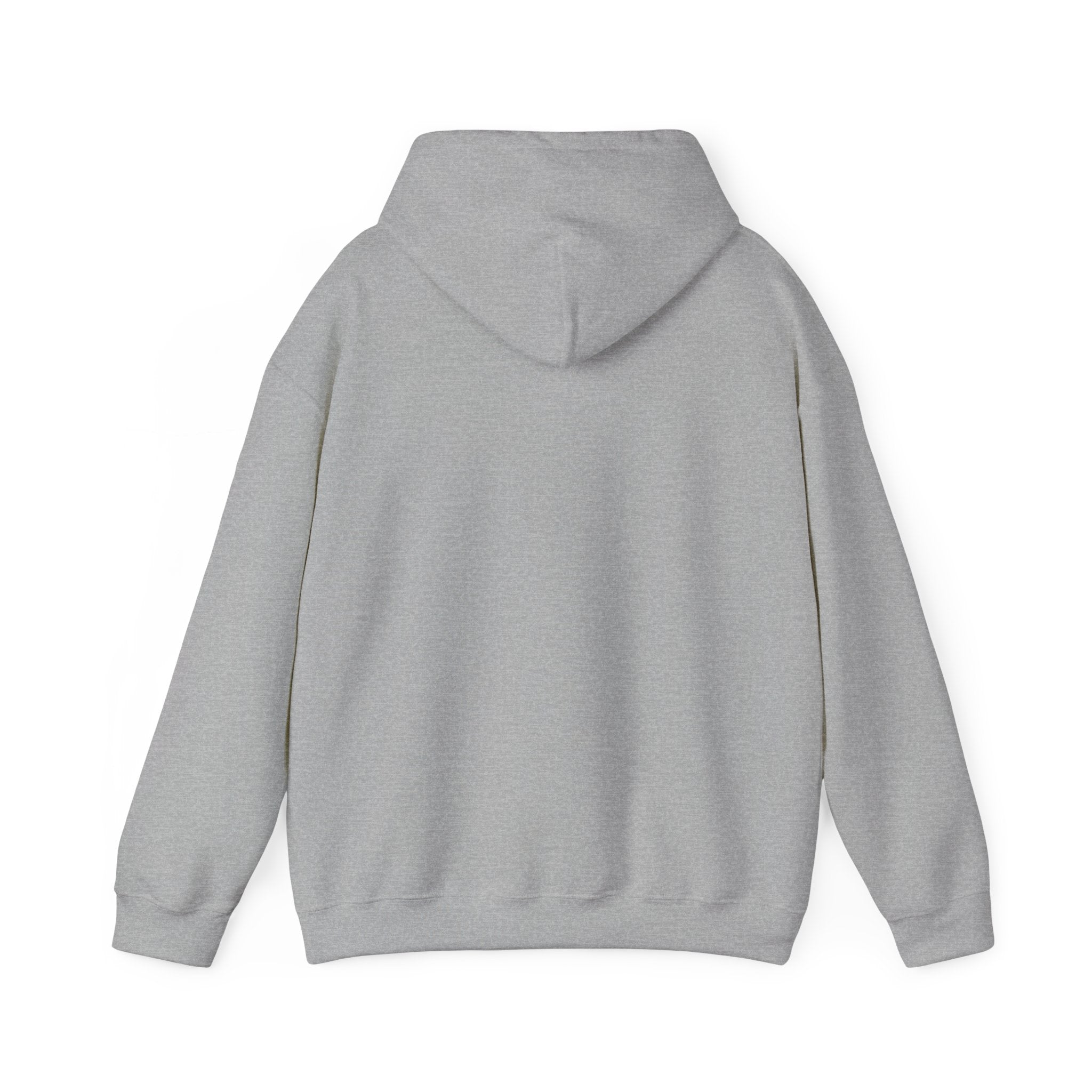 Minimal '3:19' White Hoodie — Simple Scripture Date Sweatshirt